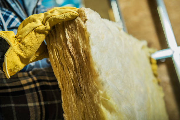 Best Types of Insulation in Hugo, MN